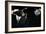 Deep Sea Anglerfish-Christian Darkin-Framed Photographic Print