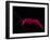 Deep Sea Decapod, Atlantic Ocean Photographed at Surface-David Shale-Framed Photographic Print