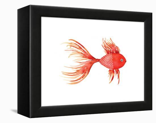 Deep Sea Red Fish-Sara Berrenson-Framed Stretched Canvas