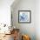 Deep Sea VIII-Anne Tavoletti-Framed Premium Giclee Print displayed on a wall