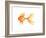 Deep Sea Yellow Fish-Sara Berrenson-Framed Art Print