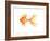 Deep Sea Yellow Fish-Sara Berrenson-Framed Art Print