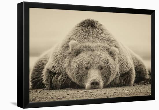 Deep Sleep-PHBurchett-Framed Stretched Canvas