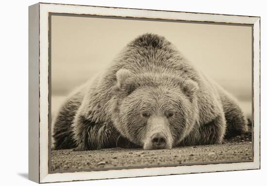 Deep Sleep-PHBurchett-Framed Stretched Canvas