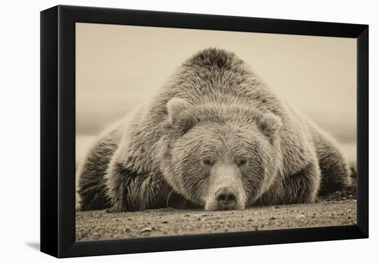 Deep Sleep-PHBurchett-Framed Stretched Canvas