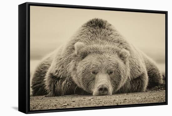 Deep Sleep-PHBurchett-Framed Stretched Canvas