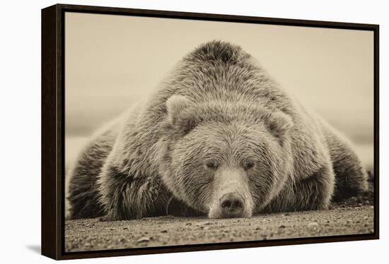 Deep Sleep-PHBurchett-Framed Stretched Canvas