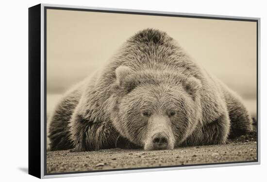 Deep Sleep-PHBurchett-Framed Stretched Canvas