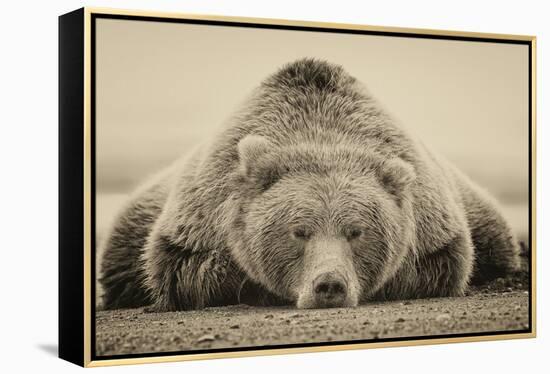 Deep Sleep-PHBurchett-Framed Stretched Canvas