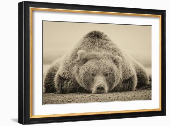 Deep Sleep-PHBurchett-Framed Premium Giclee Print