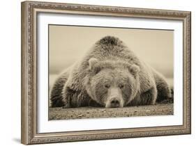 Deep Sleep-PHBurchett-Framed Art Print