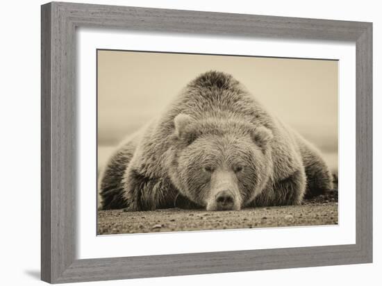 Deep Sleep-PHBurchett-Framed Art Print