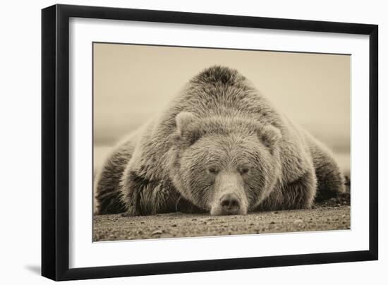 Deep Sleep-PHBurchett-Framed Art Print