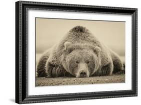Deep Sleep-PHBurchett-Framed Art Print