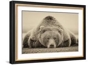 Deep Sleep-PHBurchett-Framed Art Print