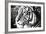 Deep Tiger-Gail Peck-Framed Photo