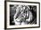 Deep Tiger-Gail Peck-Framed Photo