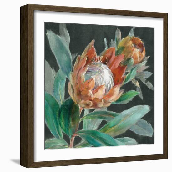 Deep Tropical Protea Crop-Danhui Nai-Framed Art Print