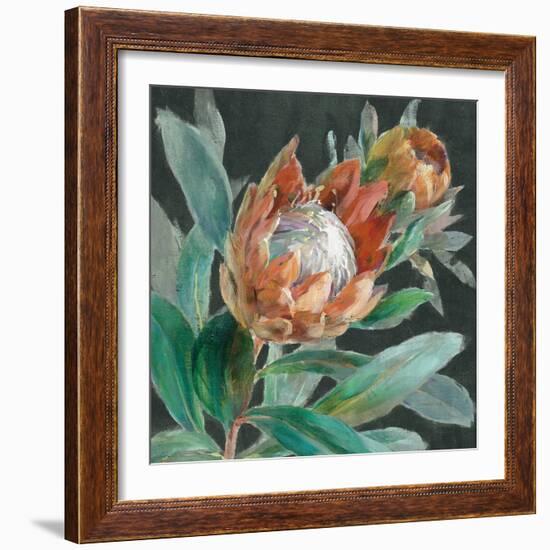 Deep Tropical Protea Crop-Danhui Nai-Framed Art Print