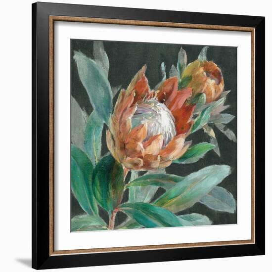 Deep Tropical Protea Crop-Danhui Nai-Framed Art Print