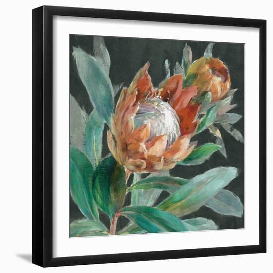 Deep Tropical Protea Crop-Danhui Nai-Framed Art Print