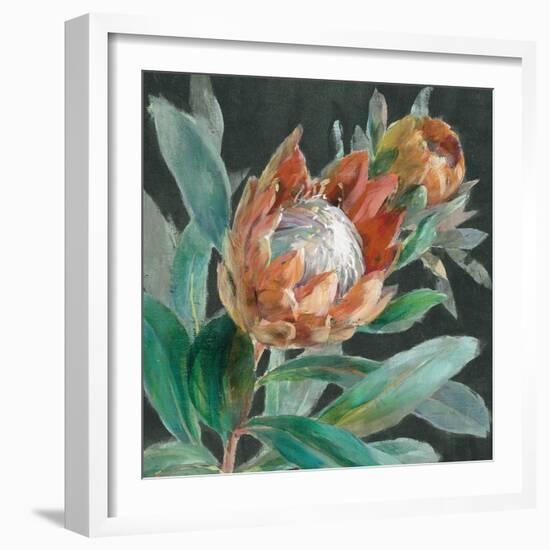 Deep Tropical Protea Crop-Danhui Nai-Framed Art Print