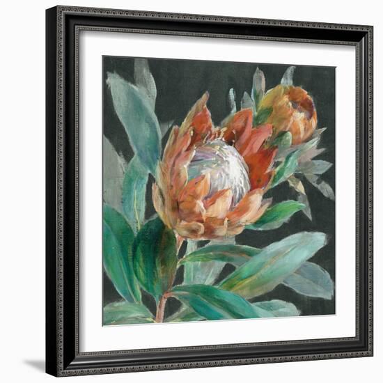 Deep Tropical Protea Crop-Danhui Nai-Framed Art Print