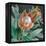 Deep Tropical Protea Crop-Danhui Nai-Framed Stretched Canvas