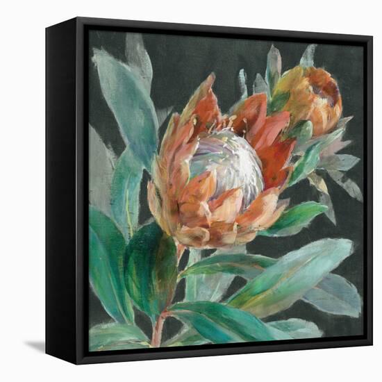 Deep Tropical Protea Crop-Danhui Nai-Framed Stretched Canvas
