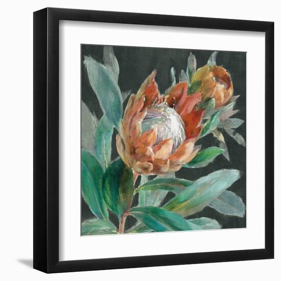 Deep Tropical Protea Crop-Danhui Nai-Framed Art Print