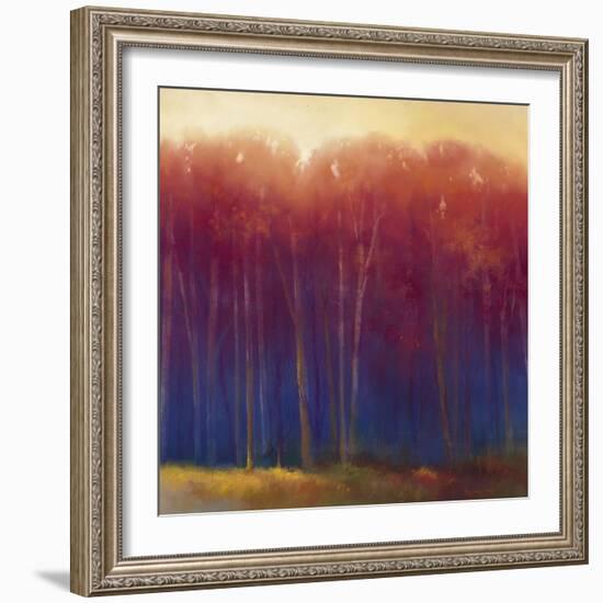 Deep Woods in Autumn-Teri Jonas-Framed Giclee Print