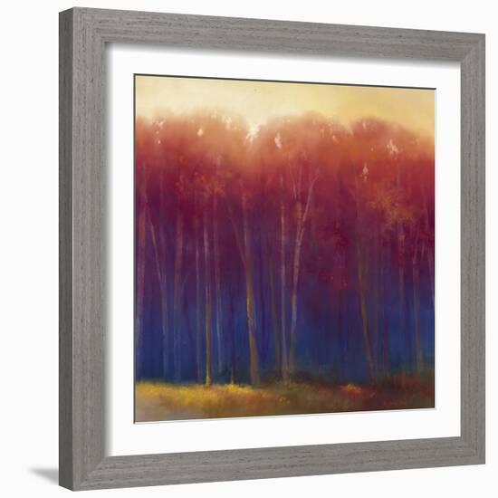 Deep Woods in Autumn-Teri Jonas-Framed Giclee Print