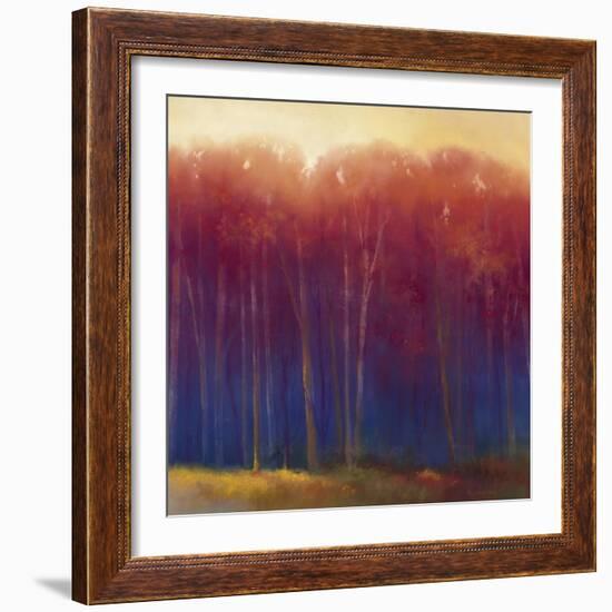 Deep Woods in Autumn-Teri Jonas-Framed Giclee Print