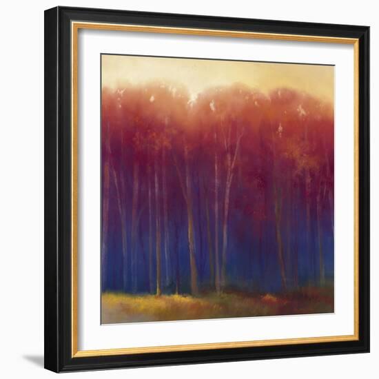 Deep Woods in Autumn-Teri Jonas-Framed Giclee Print