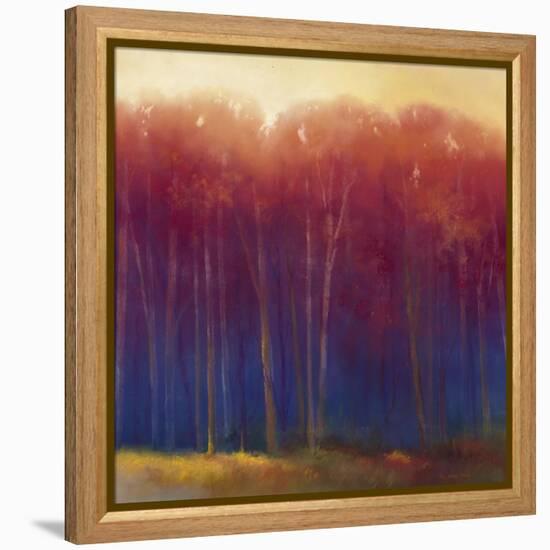 Deep Woods in Autumn-Teri Jonas-Framed Premier Image Canvas