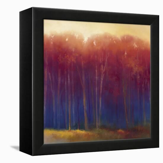 Deep Woods in Autumn-Teri Jonas-Framed Premier Image Canvas