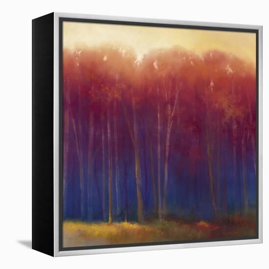 Deep Woods in Autumn-Teri Jonas-Framed Premier Image Canvas