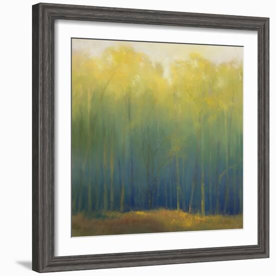 Deep Woods in Summer-Teri Jonas-Framed Giclee Print