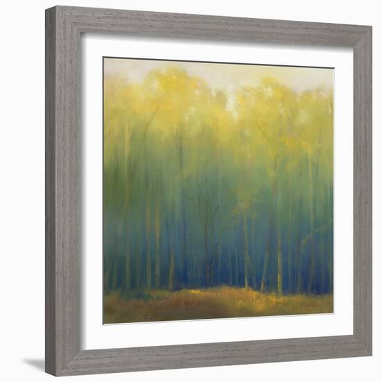 Deep Woods in Summer-Teri Jonas-Framed Giclee Print