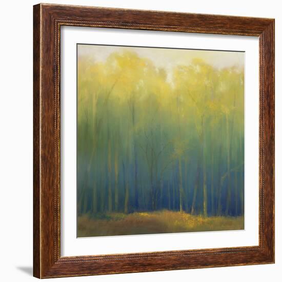 Deep Woods in Summer-Teri Jonas-Framed Giclee Print