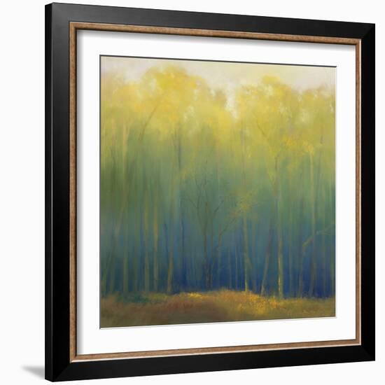 Deep Woods in Summer-Teri Jonas-Framed Giclee Print