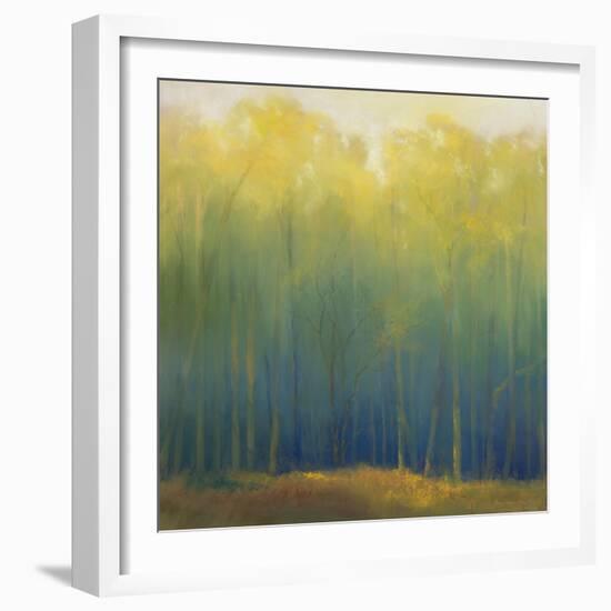 Deep Woods in Summer-Teri Jonas-Framed Giclee Print