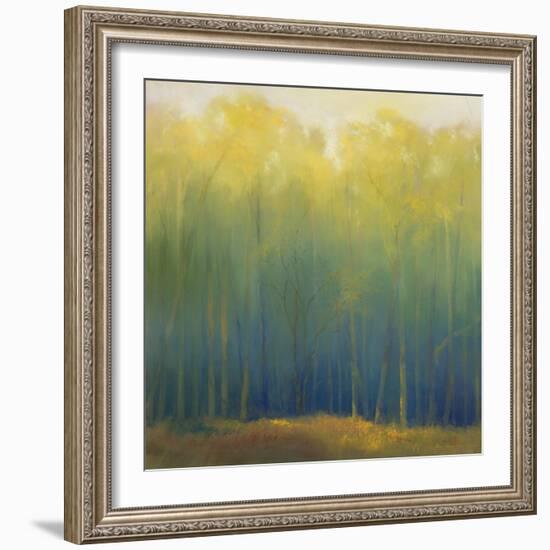 Deep Woods in Summer-Teri Jonas-Framed Premium Giclee Print