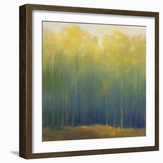 Deep Woods in Summer-Teri Jonas-Framed Premium Giclee Print