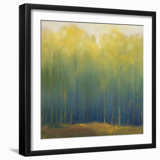 Deep Woods in Summer-Teri Jonas-Framed Premium Giclee Print