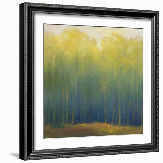 Deep Woods in Summer-Teri Jonas-Framed Premium Giclee Print