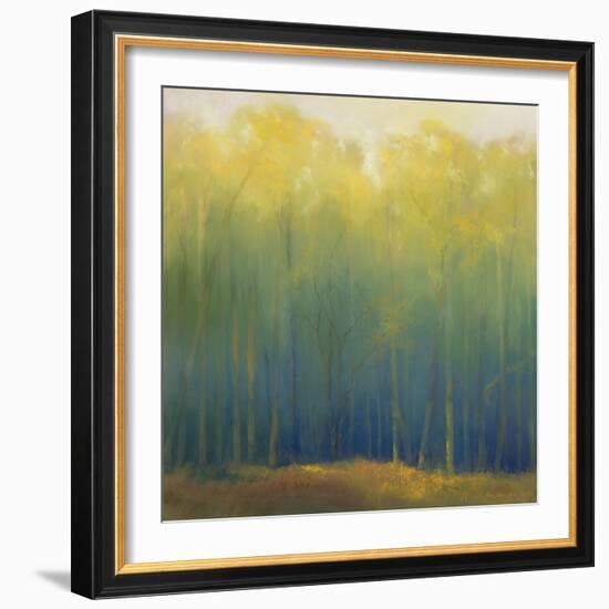 Deep Woods in Summer-Teri Jonas-Framed Premium Giclee Print