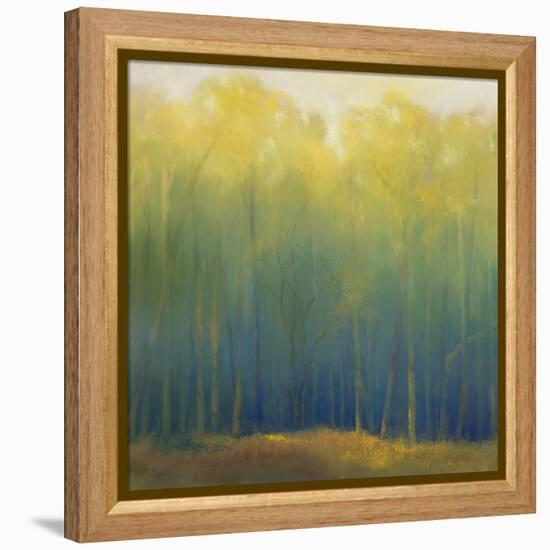 Deep Woods in Summer-Teri Jonas-Framed Premier Image Canvas