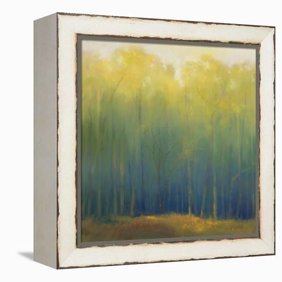 Deep Woods in Summer-Teri Jonas-Framed Premier Image Canvas