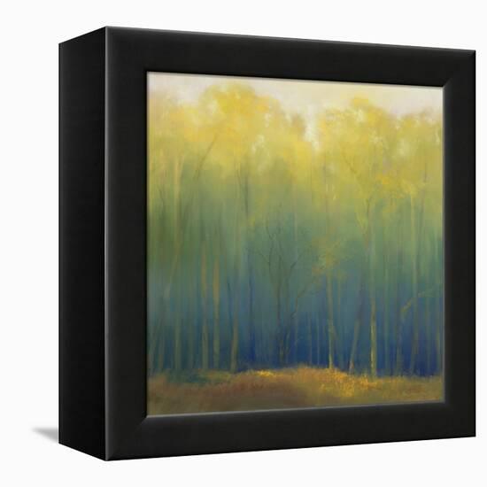 Deep Woods in Summer-Teri Jonas-Framed Premier Image Canvas